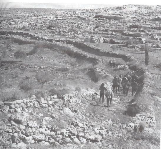 גן ארכיאולוגי כפר סבא