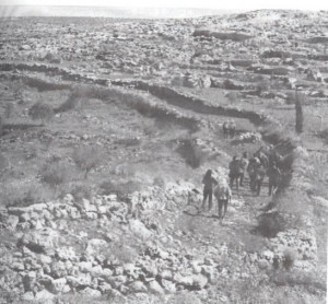 גן ארכיאולוגי כפר סבא