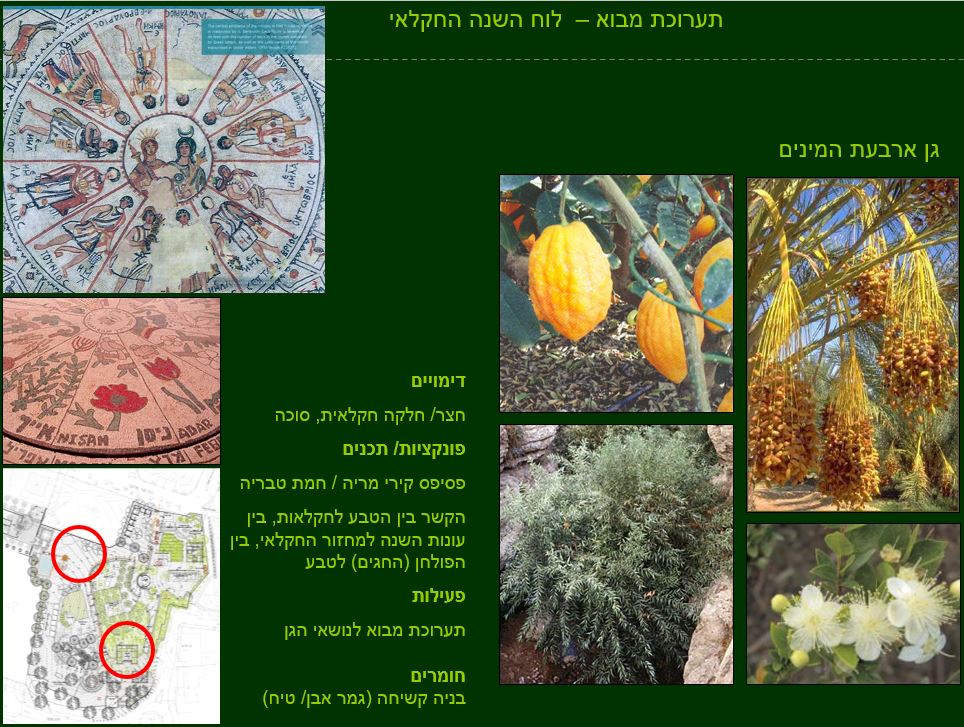 גן ארכיאולוגי כפר סבא