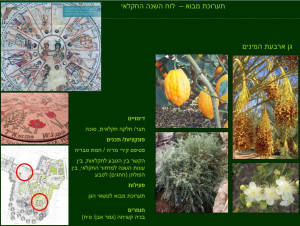 גן ארכיאולוגי כפר סבא