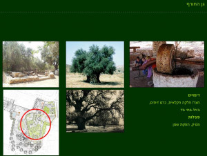 גן ארכיאולוגי כפר סבא