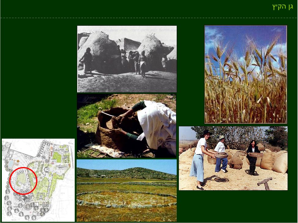 גן ארכיאולוגי כפר סבא