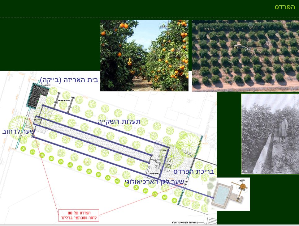 גן ארכיאולוגי כפר סבא