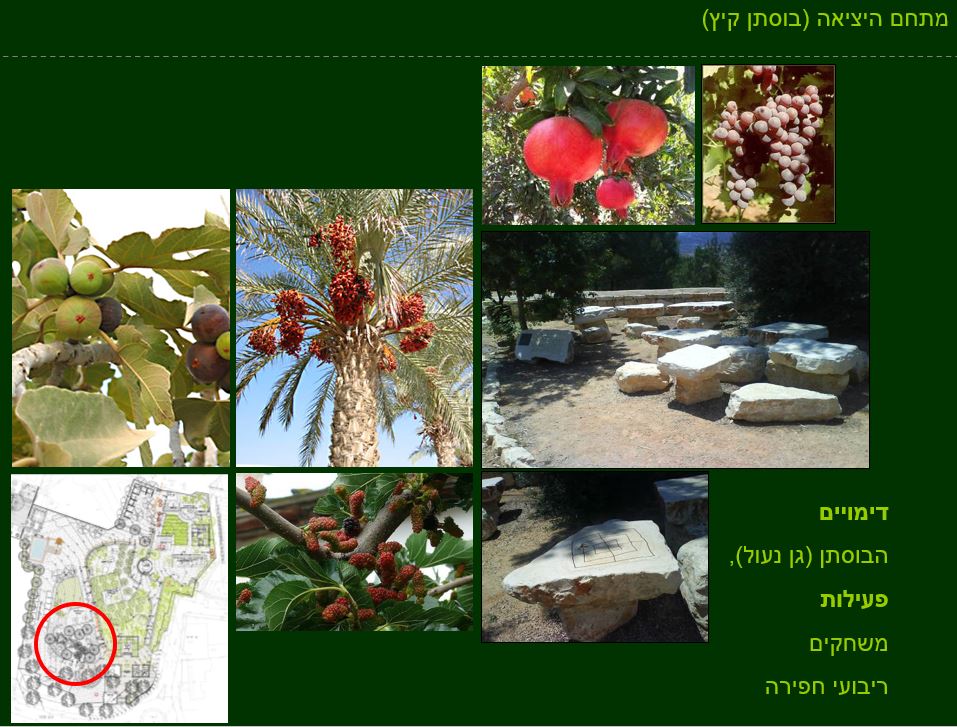 גן ארכיאולוגי כפר סבא