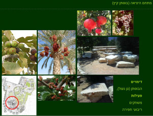 גן ארכיאולוגי כפר סבא