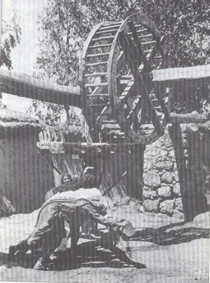 גן ארכיאולוגי כפר סבא