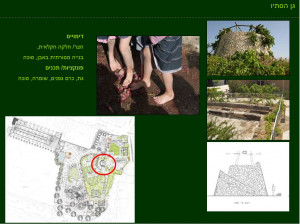 גן ארכיאולוגי כפר סבא