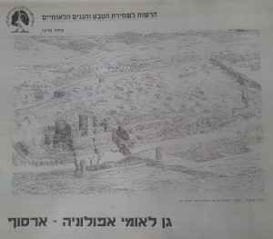 גן לאומי אפולוניה – מערך כניסה