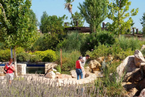 אקואריום פאלמה דה מיורקה - גני האתר