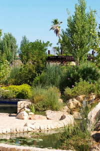 אקואריום פאלמה דה מיורקה - גני האתר