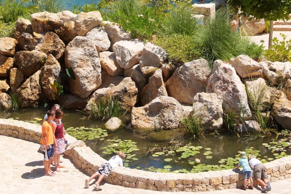 אקואריום פאלמה דה מיורקה - גני האתר