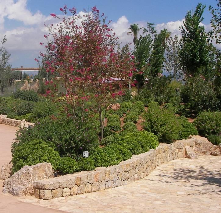 אקואריום פאלמה דה מיורקה - גני האתר