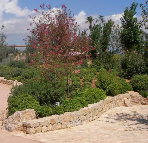 אקואריום פאלמה דה מיורקה - גני האתר