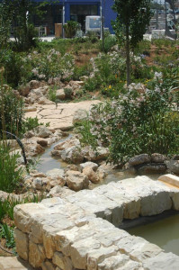 אקואריום פאלמה דה מיורקה - גני האתר