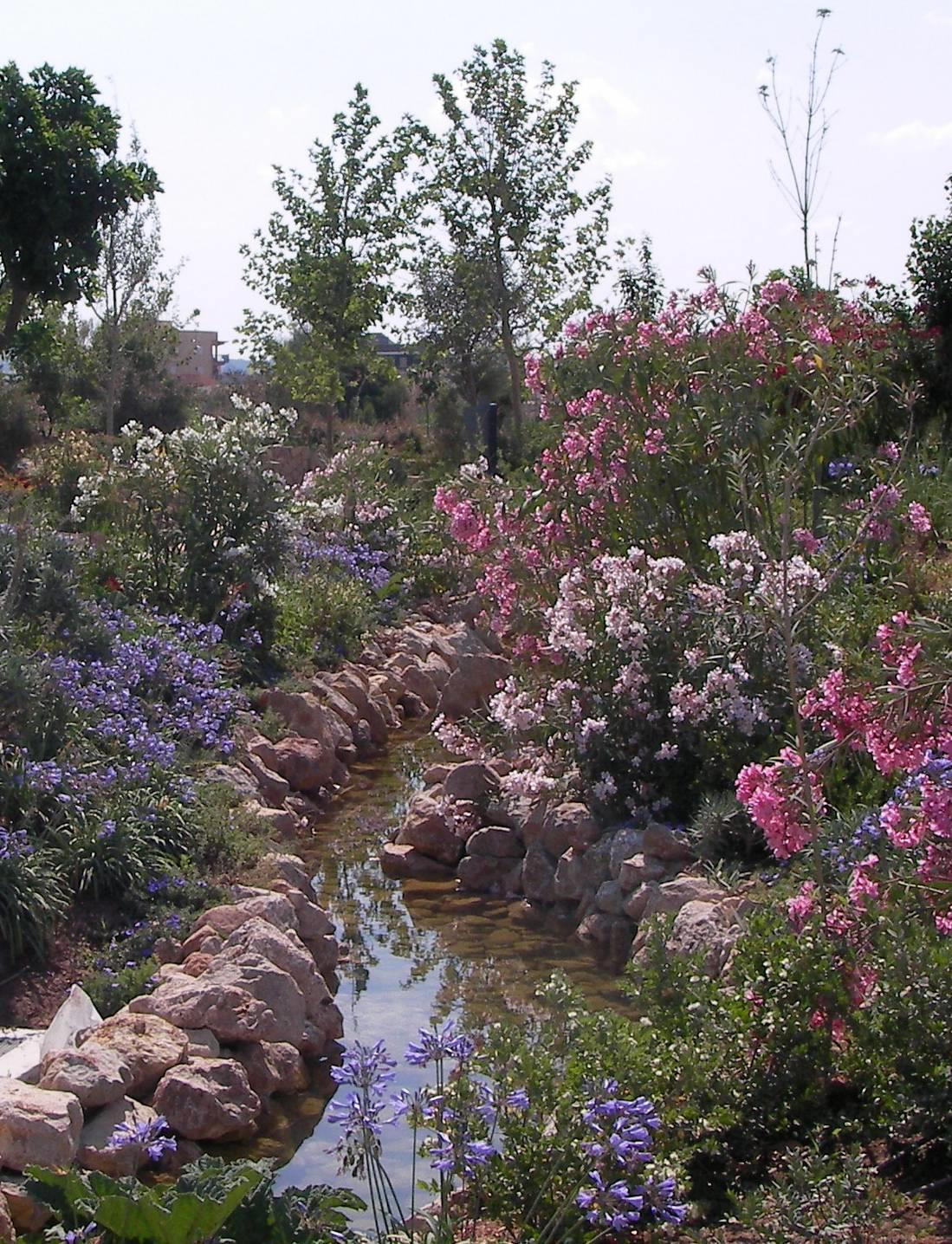 אקואריום פאלמה דה מיורקה - גני האתר