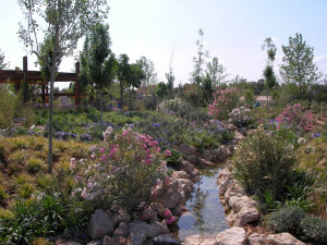 אקואריום פאלמה דה מיורקה - גני האתר