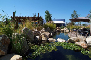 אקואריום פאלמה דה מיורקה - גני האתר