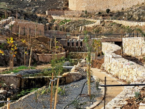 אפרת פארק מרכזי – פארק אמות המים