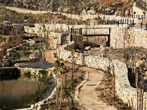 אפרת פארק מרכזי – פארק אמות המים