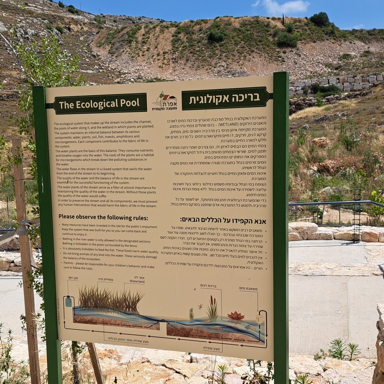 אפרת פארק מרכזי – פארק אמות המים