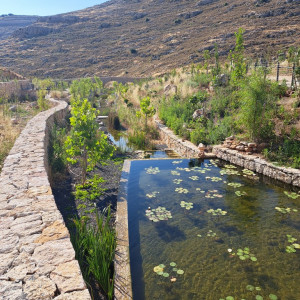 אפרת פארק מרכזי – פארק אמות המים