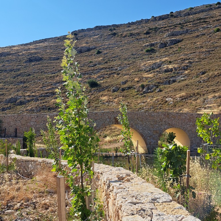 אפרת פארק מרכזי – פארק אמות המים