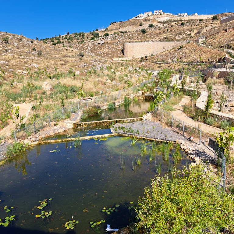 אפרת פארק מרכזי – פארק אמות המים