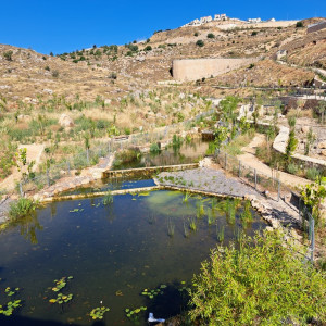 אפרת פארק מרכזי – פארק אמות המים