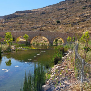 אפרת פארק מרכזי – פארק אמות המים
