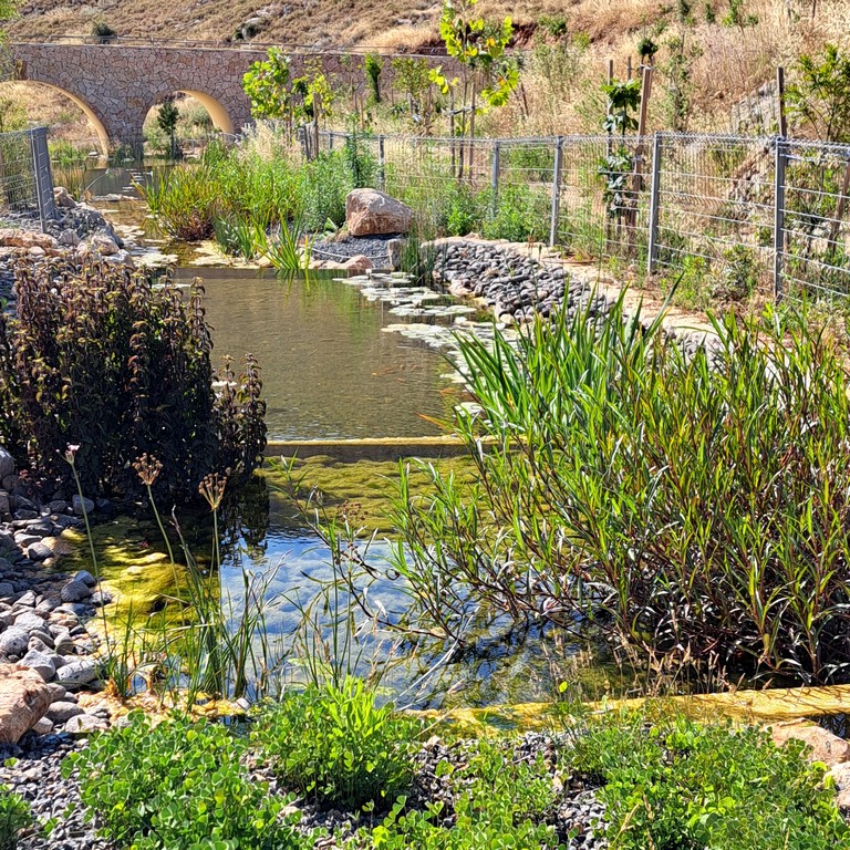 אפרת פארק מרכזי – פארק אמות המים