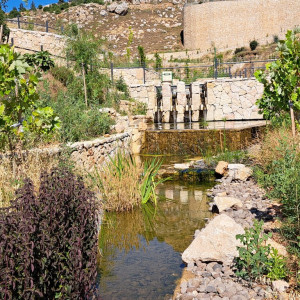 אפרת פארק מרכזי – פארק אמות המים