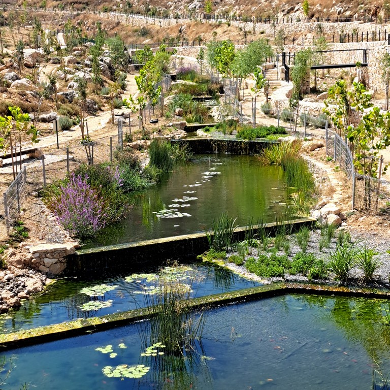 אפרת פארק מרכזי – פארק אמות המים