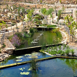 אפרת פארק מרכזי – פארק אמות המים