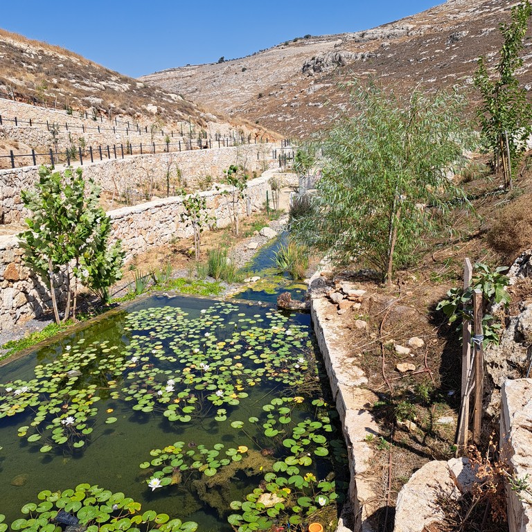 אפרת פארק מרכזי – פארק אמות המים