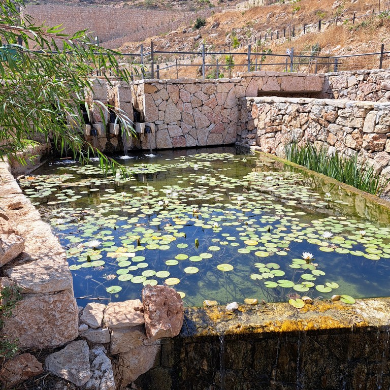 אפרת פארק מרכזי – פארק אמות המים