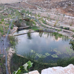 אפרת פארק מרכזי – פארק אמות המים