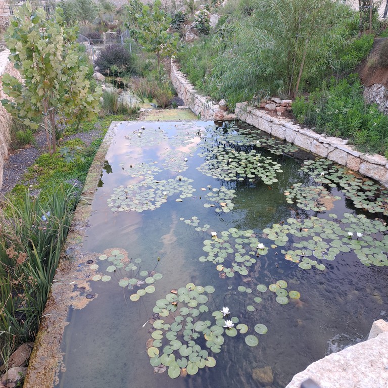אפרת פארק מרכזי – פארק אמות המים