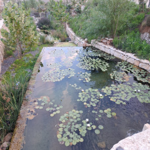 אפרת פארק מרכזי – פארק אמות המים