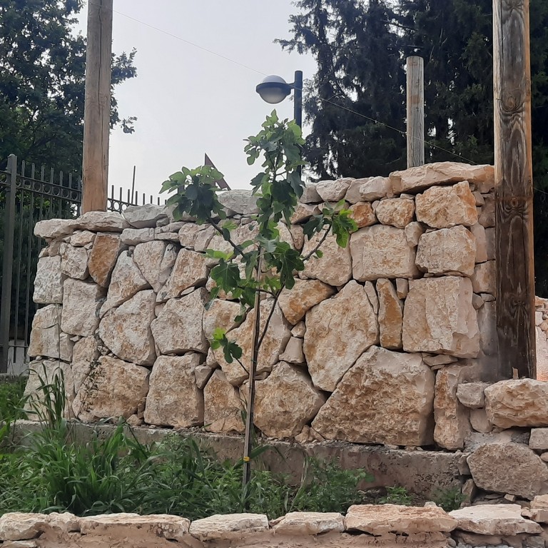 גן ארכיאולוגי כפר סבא