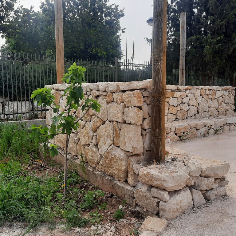 גן ארכיאולוגי כפר סבא