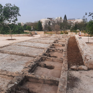 גן ארכיאולוגי כפר סבא