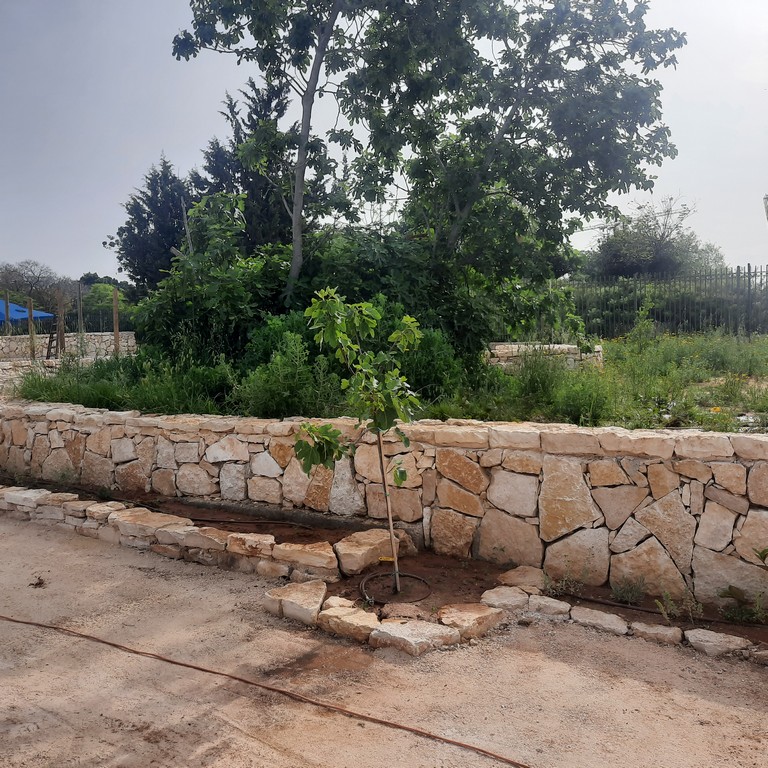 גן ארכיאולוגי כפר סבא