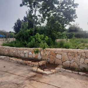 גן ארכיאולוגי כפר סבא