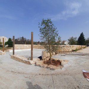 גן ארכיאולוגי כפר סבא