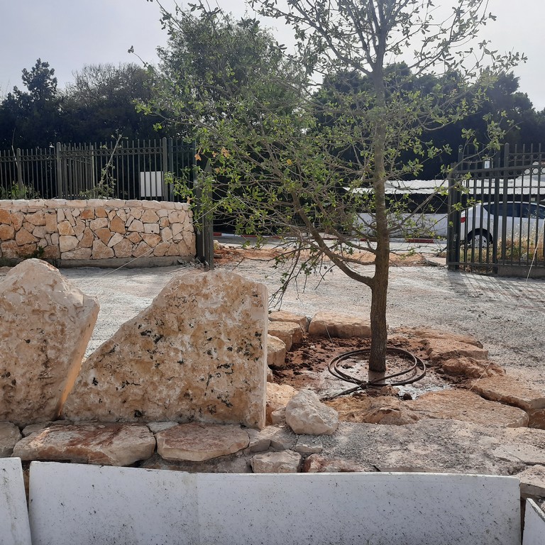 גן ארכיאולוגי כפר סבא