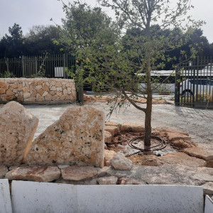 גן ארכיאולוגי כפר סבא