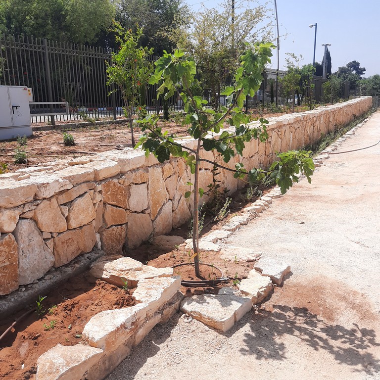 גן ארכיאולוגי כפר סבא