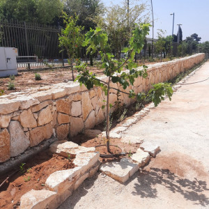 גן ארכיאולוגי כפר סבא