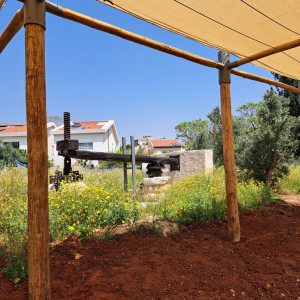 גן ארכיאולוגי כפר סבא