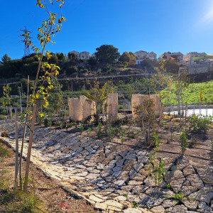 גן ציבורי - רמת בית שמש